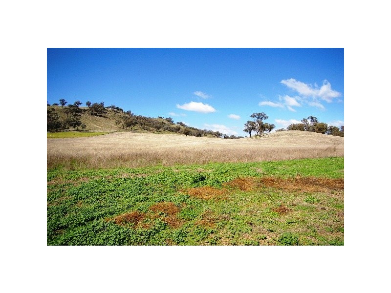 ‘Long View’ Manilla Road, Attunga NSW 2345