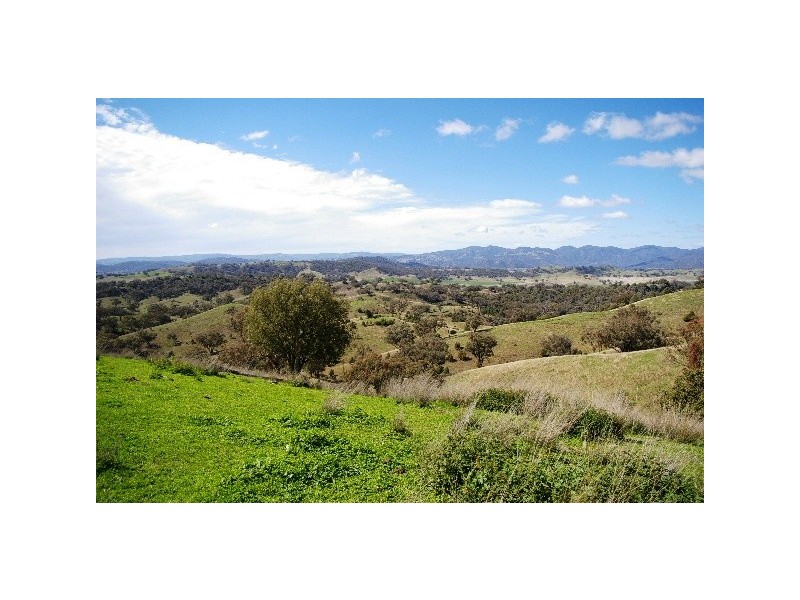 ‘Long View’ Manilla Road, Attunga NSW 2345