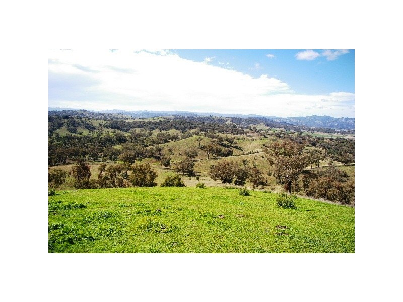‘Long View’ Manilla Road, Attunga NSW 2345