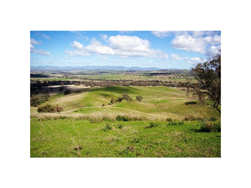 ‘Long View’ Manilla Road, Attunga NSW 2345