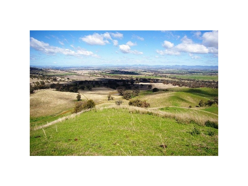 ‘Long View’ Manilla Road, Attunga NSW 2345