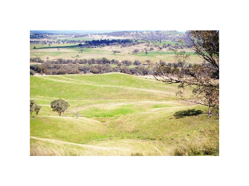 ‘Long View’ Manilla Road, Attunga NSW 2345