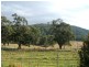 1889 Winterbourne Road, Walcha NSW 2354