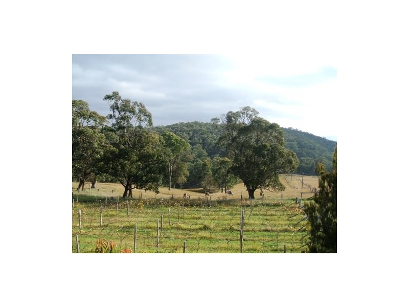 1889 Winterbourne Road, Walcha NSW 2354