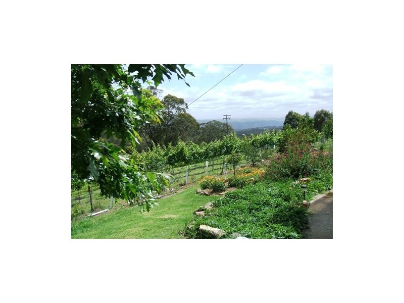 1889 Winterbourne Road, Walcha NSW 2354