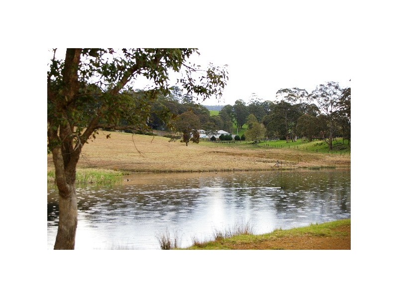 Lot 7 ‘Nubian’ Thunderbolts Way, Walcha NSW 2354