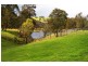 Lot 7 ‘Nubian’ Thunderbolts Way, Walcha NSW 2354