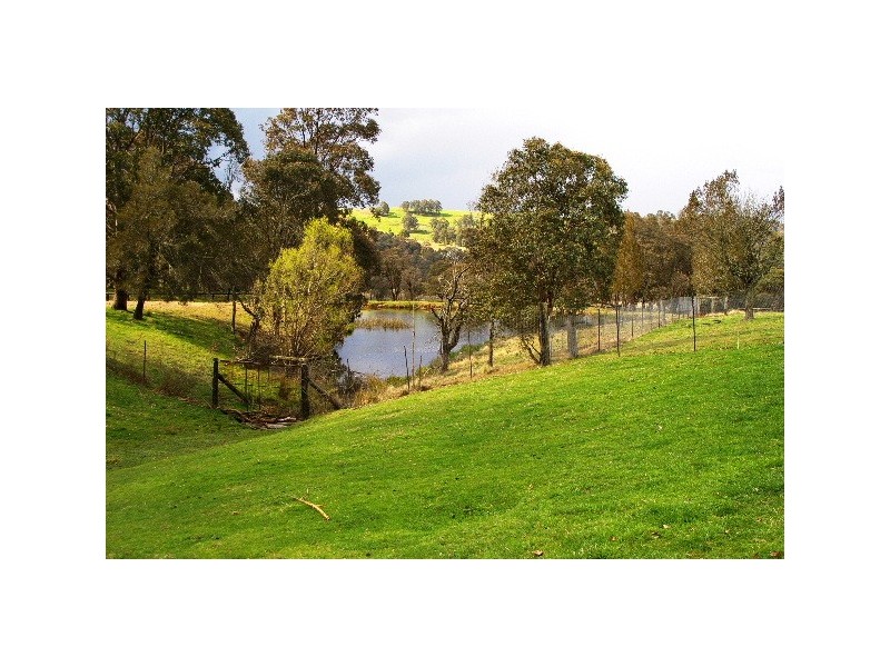 Lot 7 ‘Nubian’ Thunderbolts Way, Walcha NSW 2354