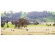 Lot 7 ‘Nubian’ Thunderbolts Way, Walcha NSW 2354