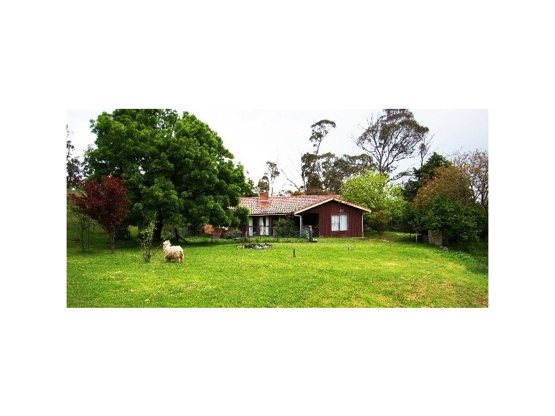 110 Translator Road, Kellys Plains NSW 2350