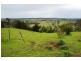 110 Translator Road, Kellys Plains NSW 2350