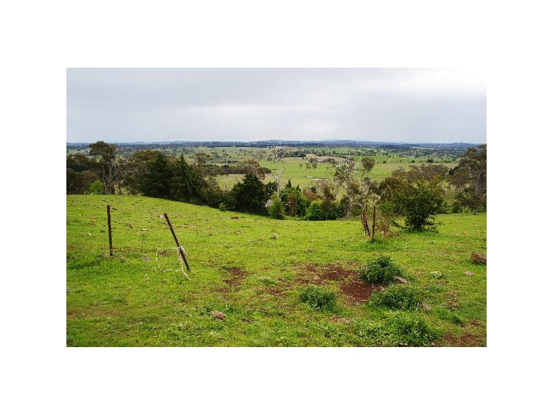 110 Translator Road, Kellys Plains NSW 2350