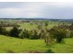110 Translator Road, Kellys Plains NSW 2350