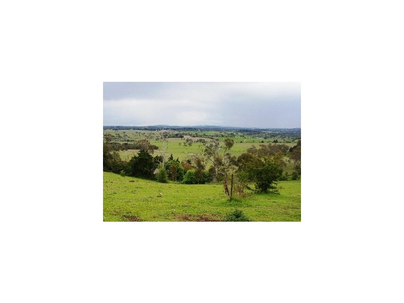 110 Translator Road, Kellys Plains NSW 2350