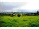 110 Translator Road, Kellys Plains NSW 2350