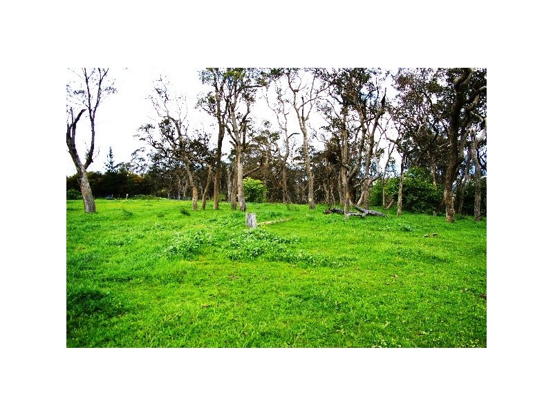 110 Translator Road, Kellys Plains NSW 2350