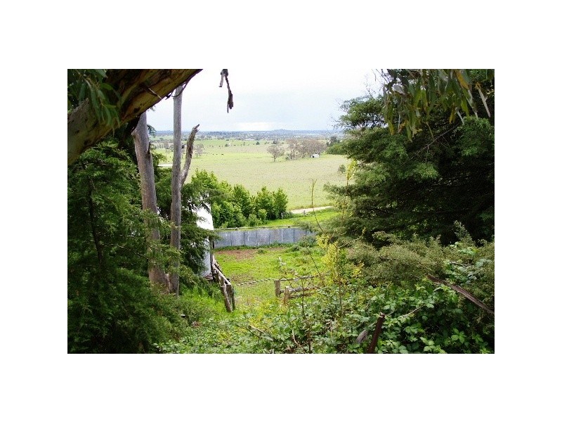 110 Translator Road, Kellys Plains NSW 2350