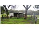 109 Watsons Creek Tilmunda Road, Watsons Creek NSW 2355