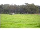 109 Watsons Creek Tilmunda Road, Watsons Creek NSW 2355