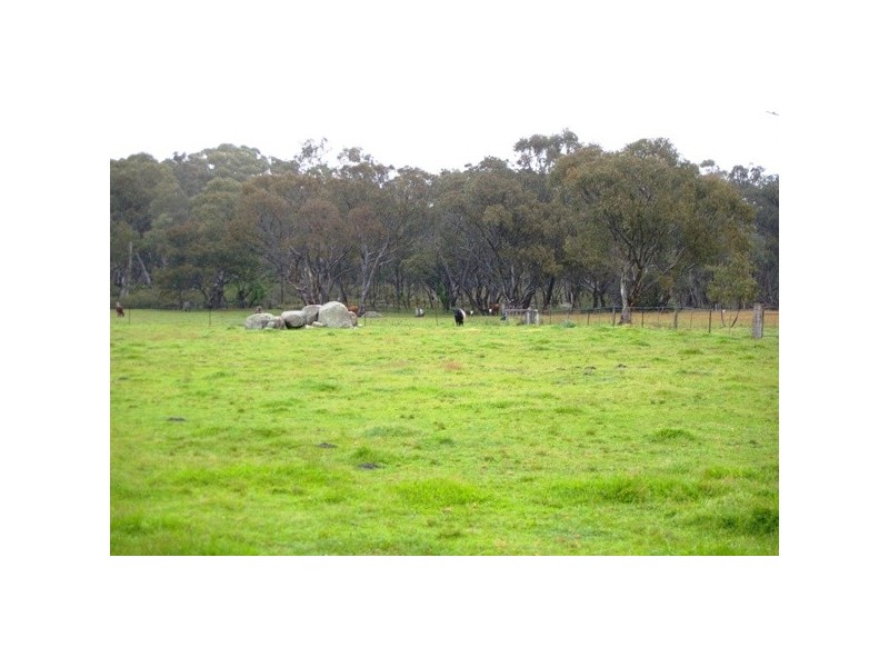 109 Watsons Creek Tilmunda Road, Watsons Creek NSW 2355
