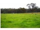 109 Watsons Creek Tilmunda Road, Watsons Creek NSW 2355