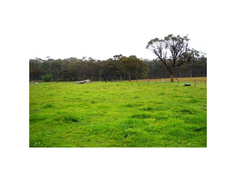 109 Watsons Creek Tilmunda Road, Watsons Creek NSW 2355