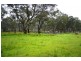 109 Watsons Creek Tilmunda Road, Watsons Creek NSW 2355