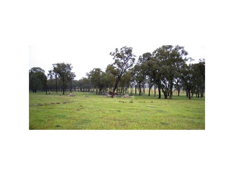 109 Watsons Creek Tilmunda Road, Watsons Creek NSW 2355