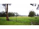 109 Watsons Creek Tilmunda Road, Watsons Creek NSW 2355