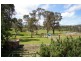 162 Kingstown Road, Uralla NSW 2358