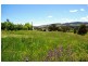 Lot 16 Haidee Street, Bendemeer NSW 2355
