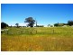 Lot 16 Haidee Street, Bendemeer NSW 2355