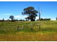 Lot 16 Haidee Street, Bendemeer NSW 2355
