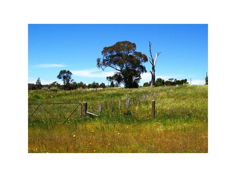 Lot 16 Haidee Street, Bendemeer NSW 2355