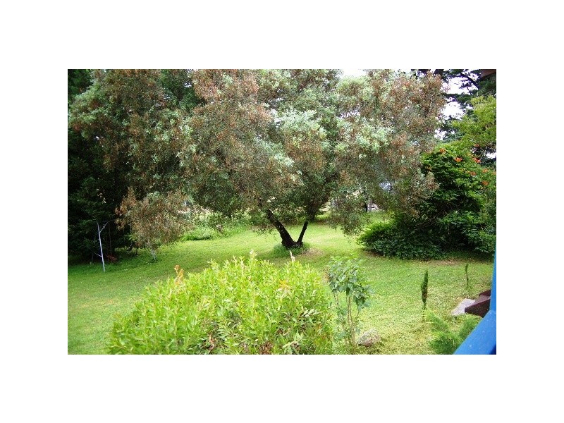 252 Kentucky Road, Kentucky NSW 2354