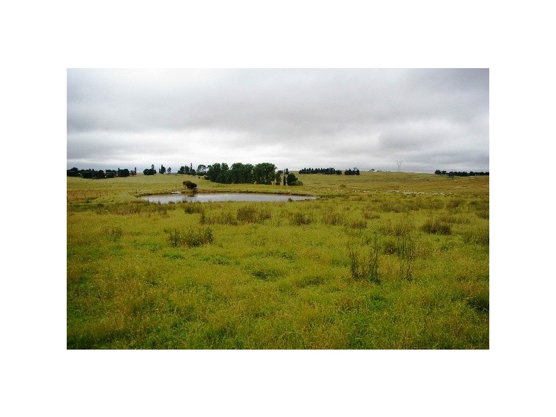 252 Kentucky Road, Kentucky NSW 2354