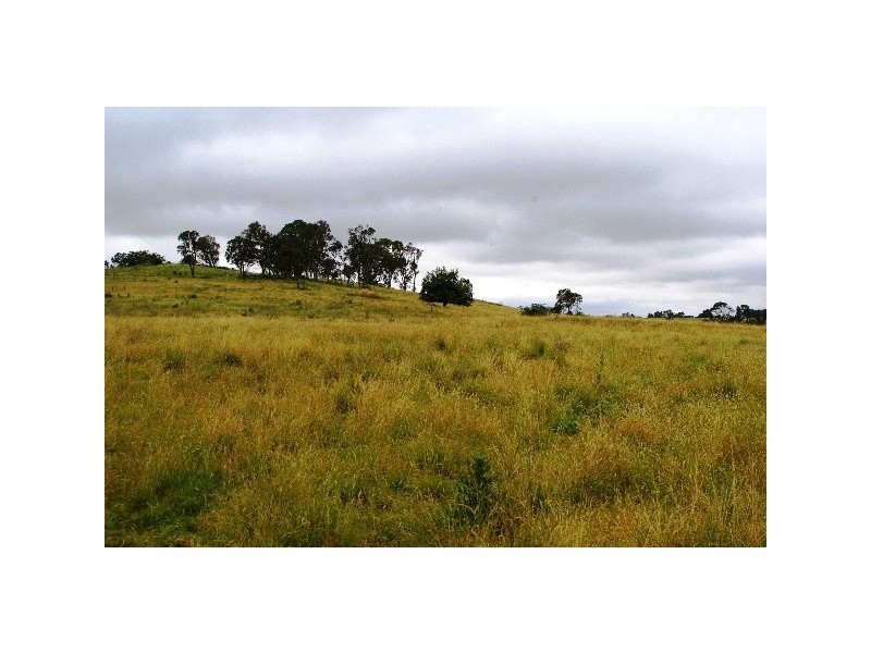 252 Kentucky Road, Kentucky NSW 2354