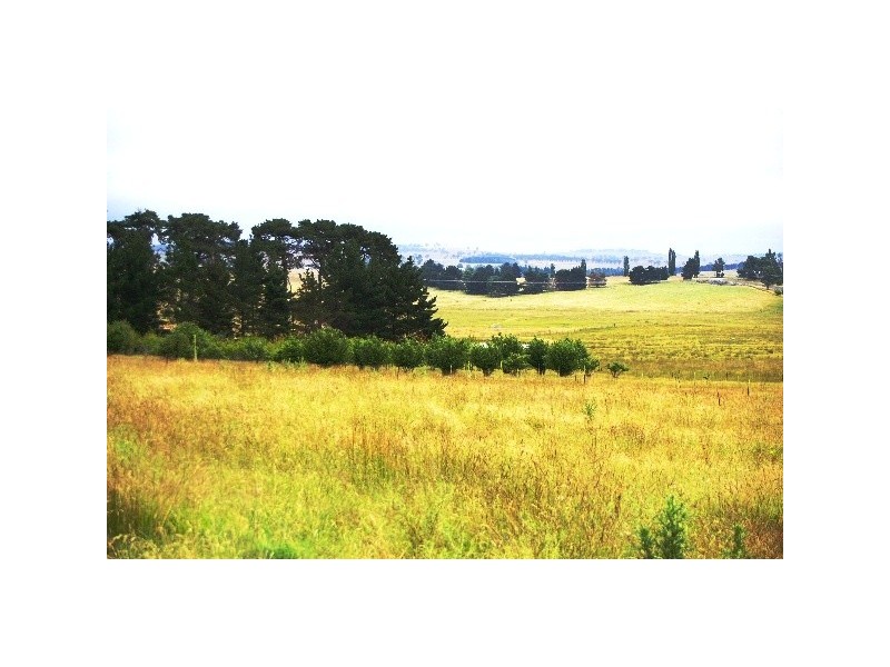 252 Kentucky Road, Kentucky NSW 2354