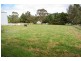 17 Bridge Street, Uralla NSW 2358
