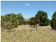 49 Bakers Lane, Kentucky NSW 2354