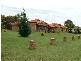 3 Roman Street, Uralla NSW 2358