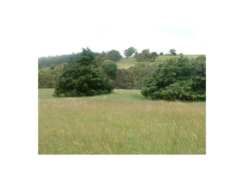 L523 Quartz Gully Road, Uralla NSW 2358