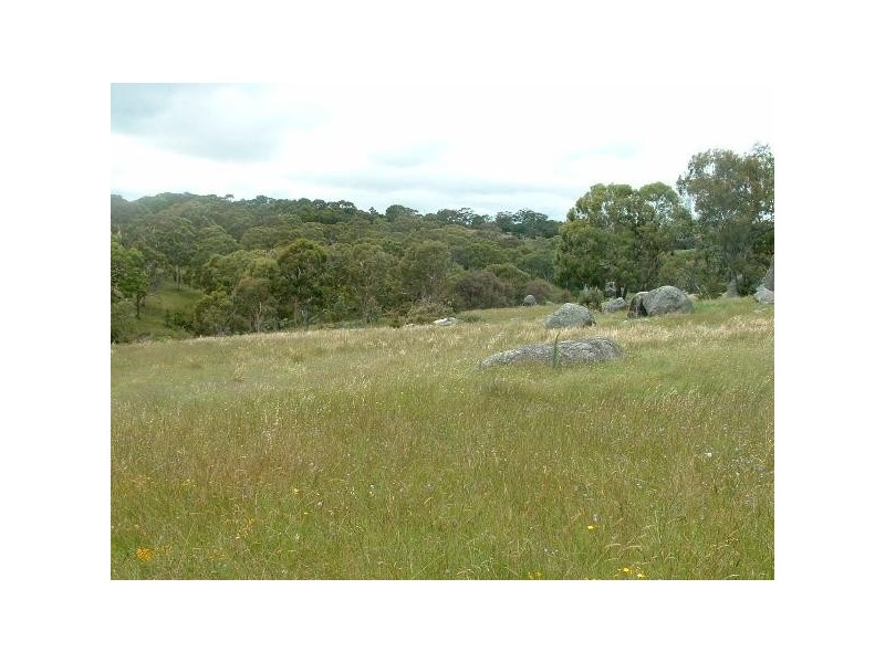 L523 Quartz Gully Road, Uralla NSW 2358