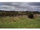 L523 Quartz Gully Road, Uralla NSW 2358