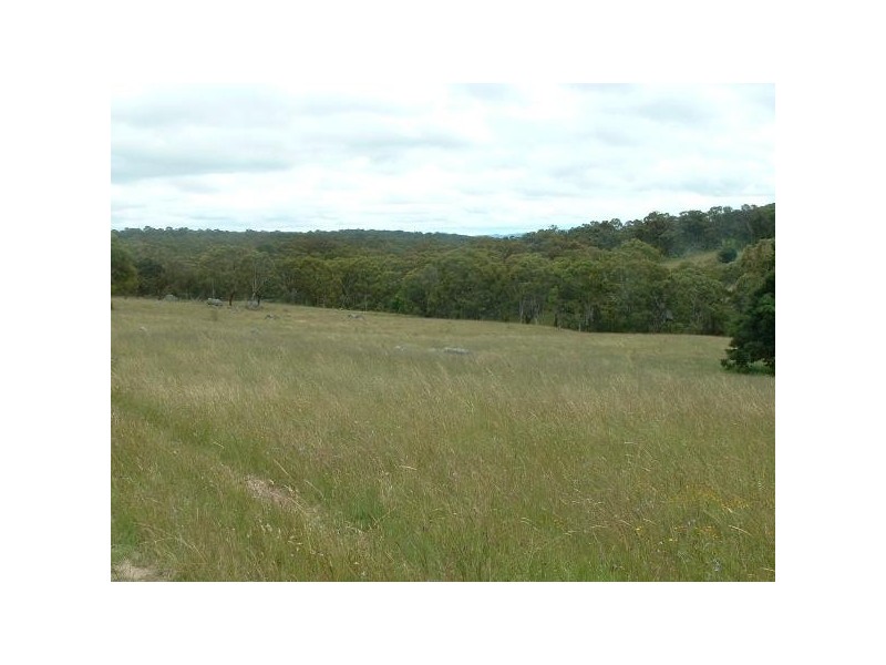 L523 Quartz Gully Road, Uralla NSW 2358