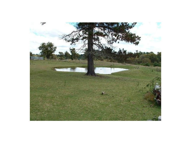 13 Wilkens Street, Uralla NSW 2358