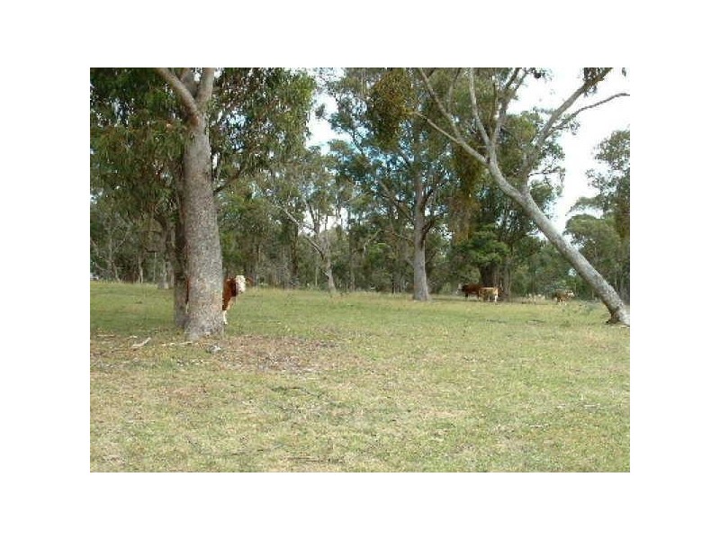 ‘Arran Park’ Winterbourne Road, Walcha NSW 2354