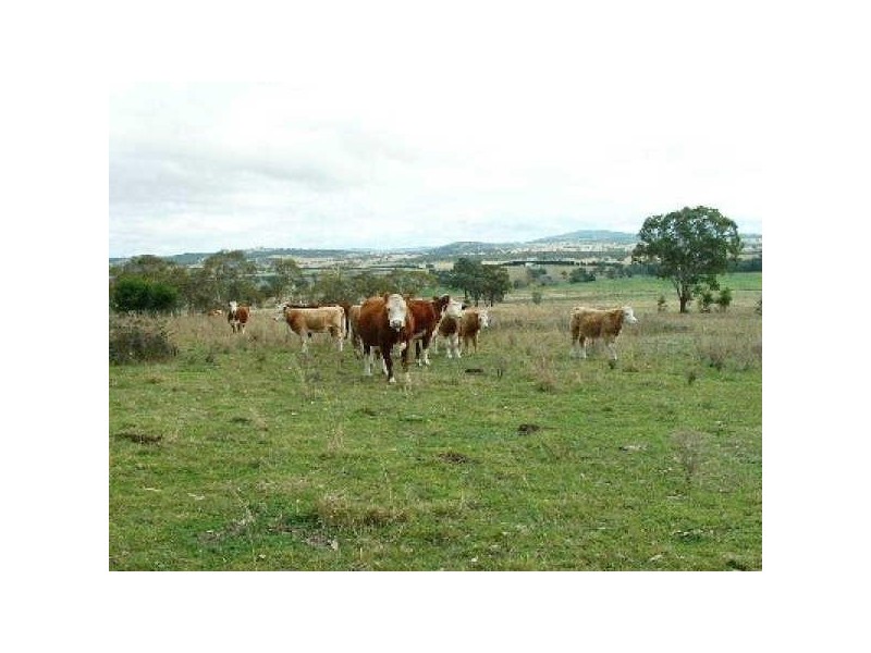 ‘Arran Park’ Winterbourne Road, Walcha NSW 2354