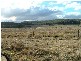 ‘Athlone East’ Stone Hut Road, Retreat NSW 2355