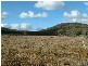 ‘Athlone East’ Stone Hut Road, Retreat NSW 2355